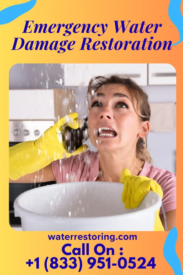 Emergency Water Damage Restoration in Seven Springs, NC