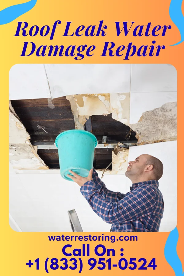 Roof Leak Water Damage Repair in Seven Springs, NC